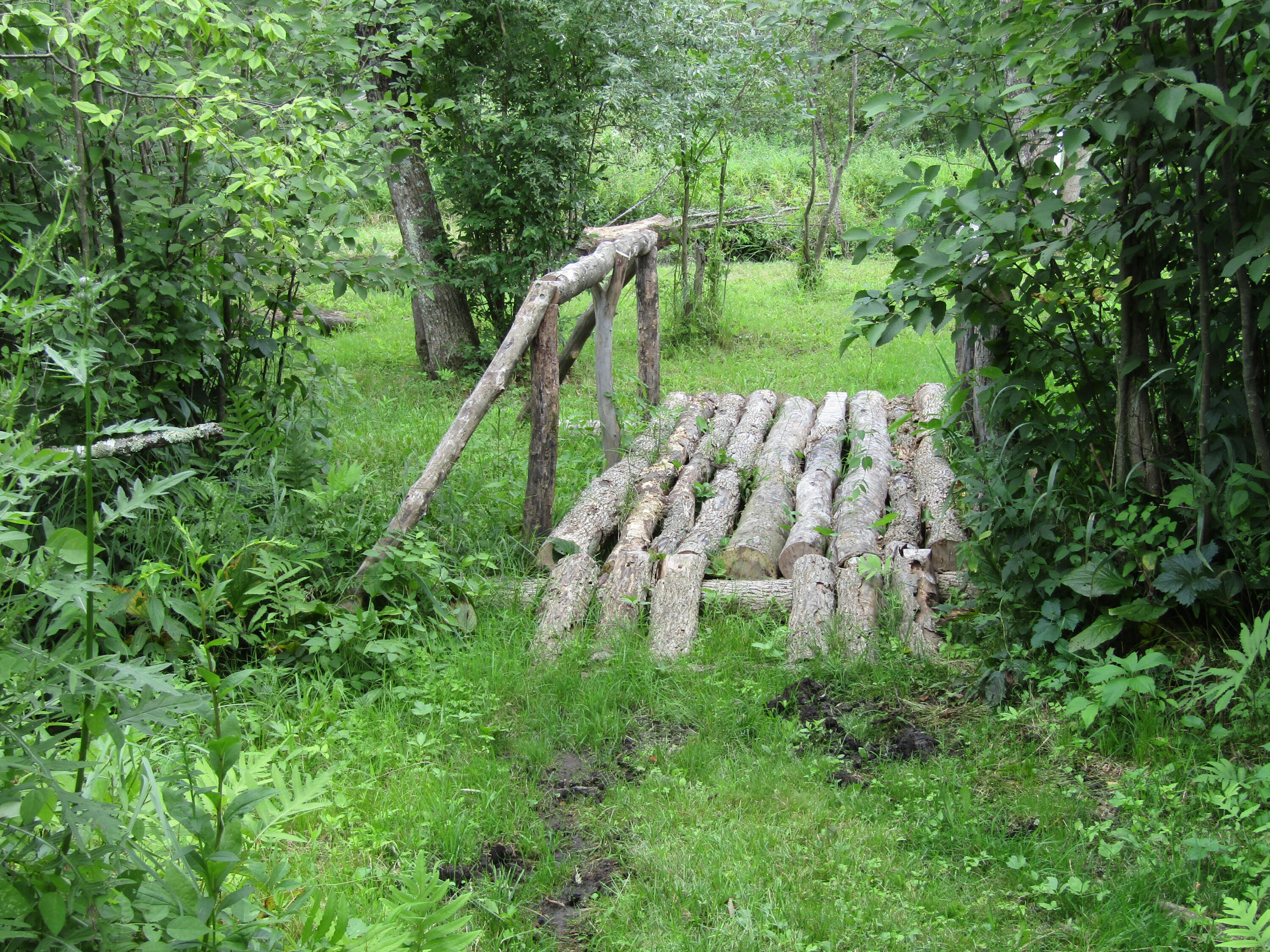 5998 Bartonville Road Belding, MI 48809 - Photo 23 of 28 IMG_7022