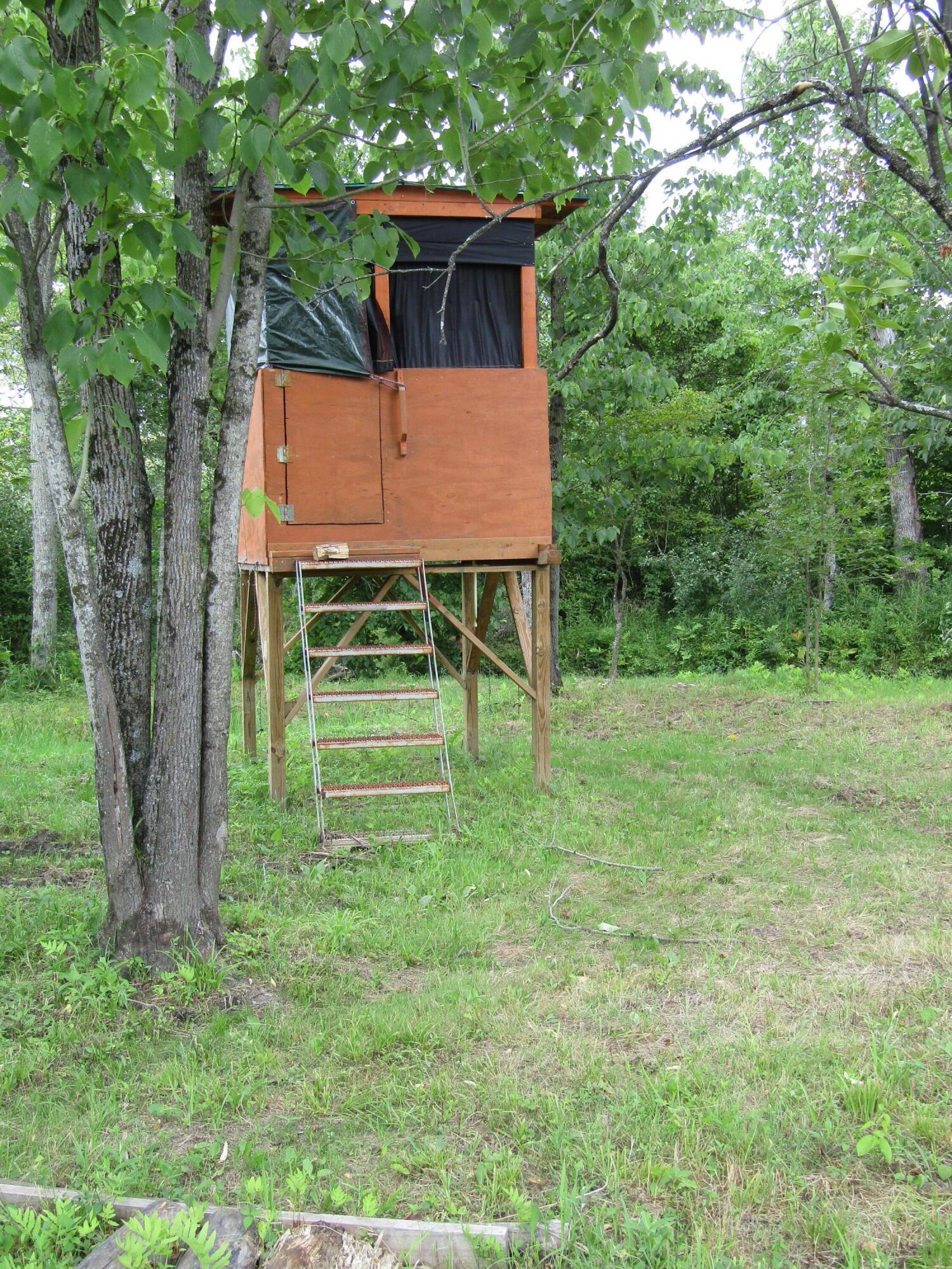 5998 Bartonville Road Belding, MI 48809 - Photo 24 of 28 IMG_7023