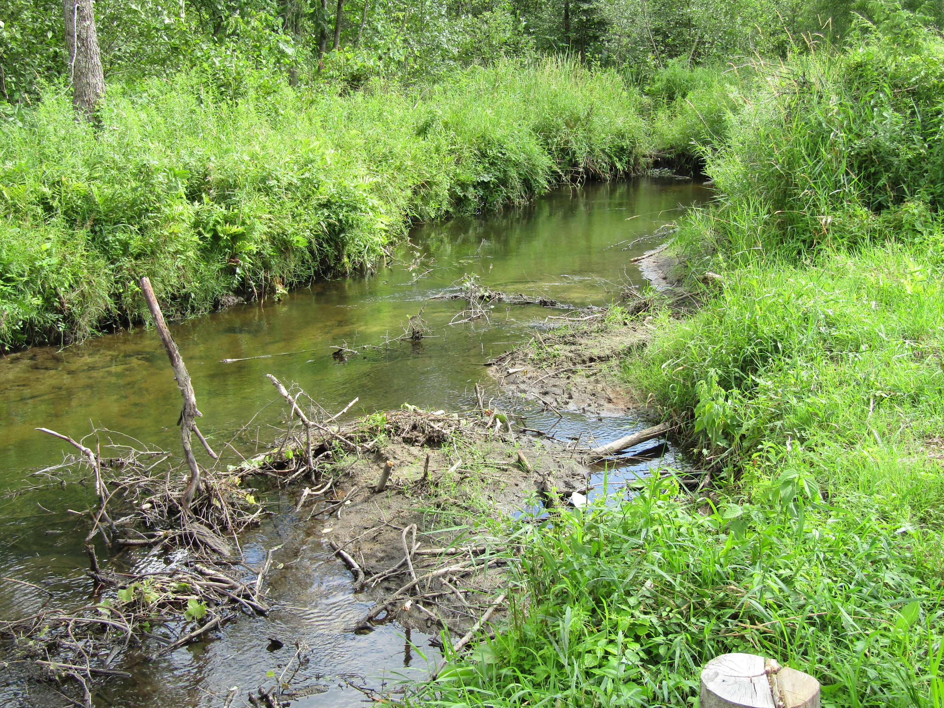 5998 Bartonville Road Belding, MI 48809 - Photo 25 of 28 IMG_7024