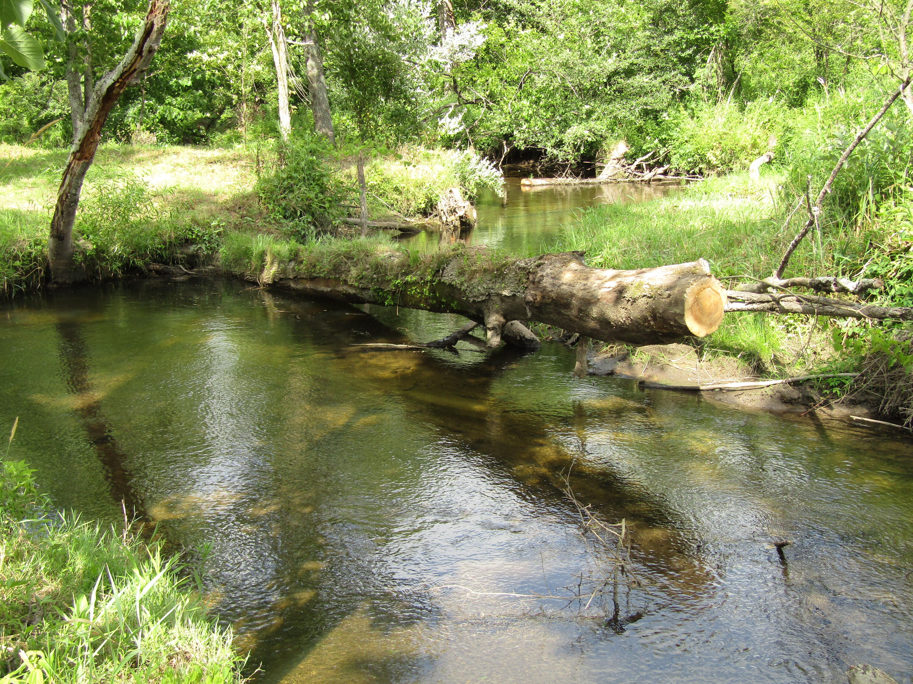 5998 Bartonville Road Belding, MI 48809 - Photo 26 of 28 IMG_7025