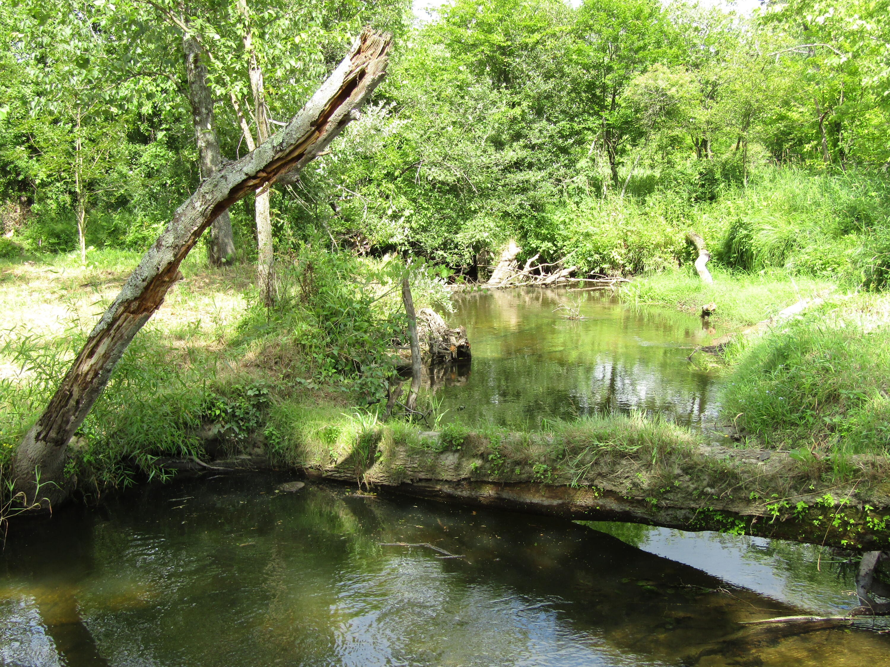 5998 Bartonville Road Belding, MI 48809 - Photo 27 of 28 IMG_7027