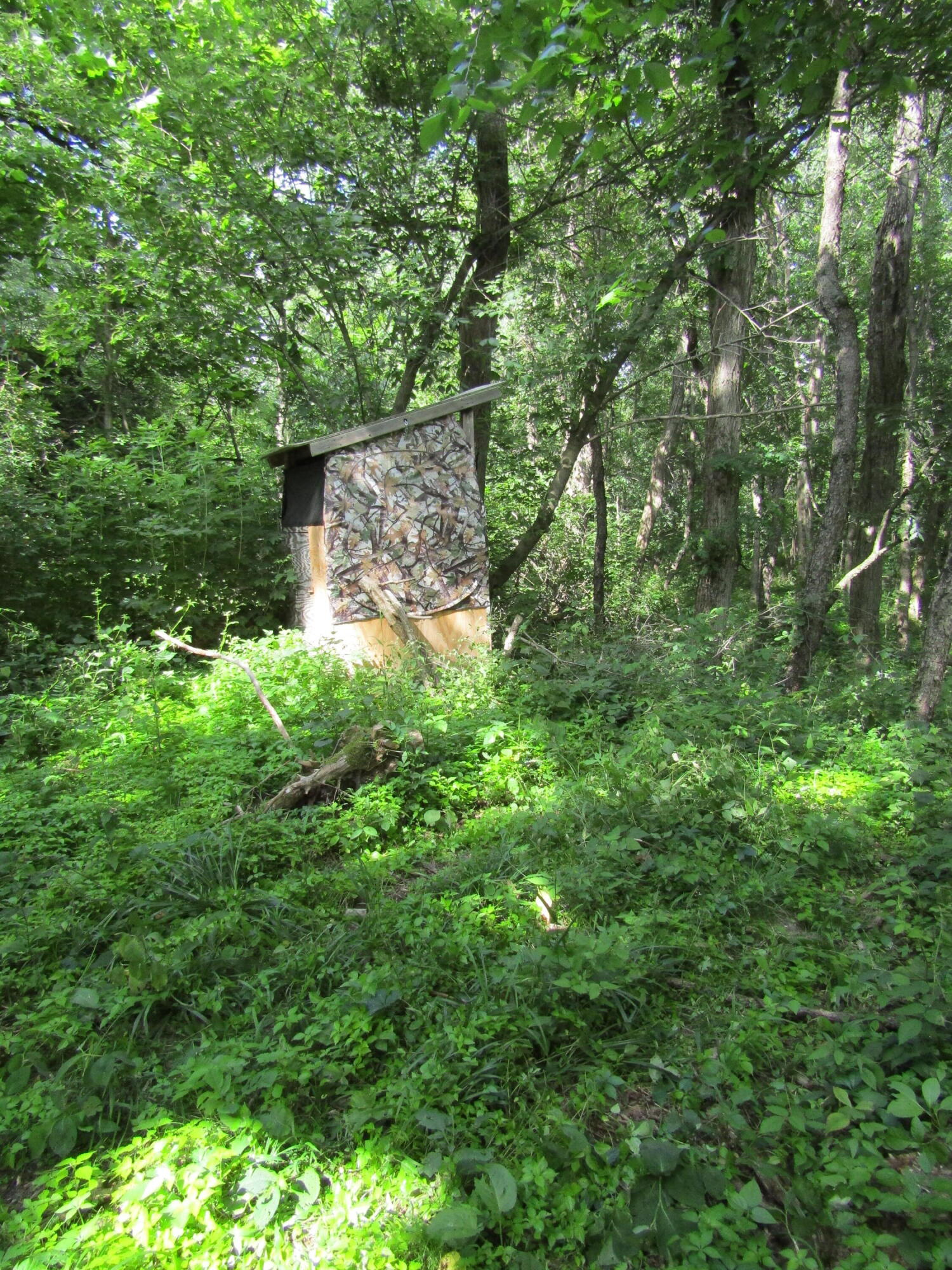 5998 Bartonville Road Belding, MI 48809 - Photo 28 of 28 IMG_7031