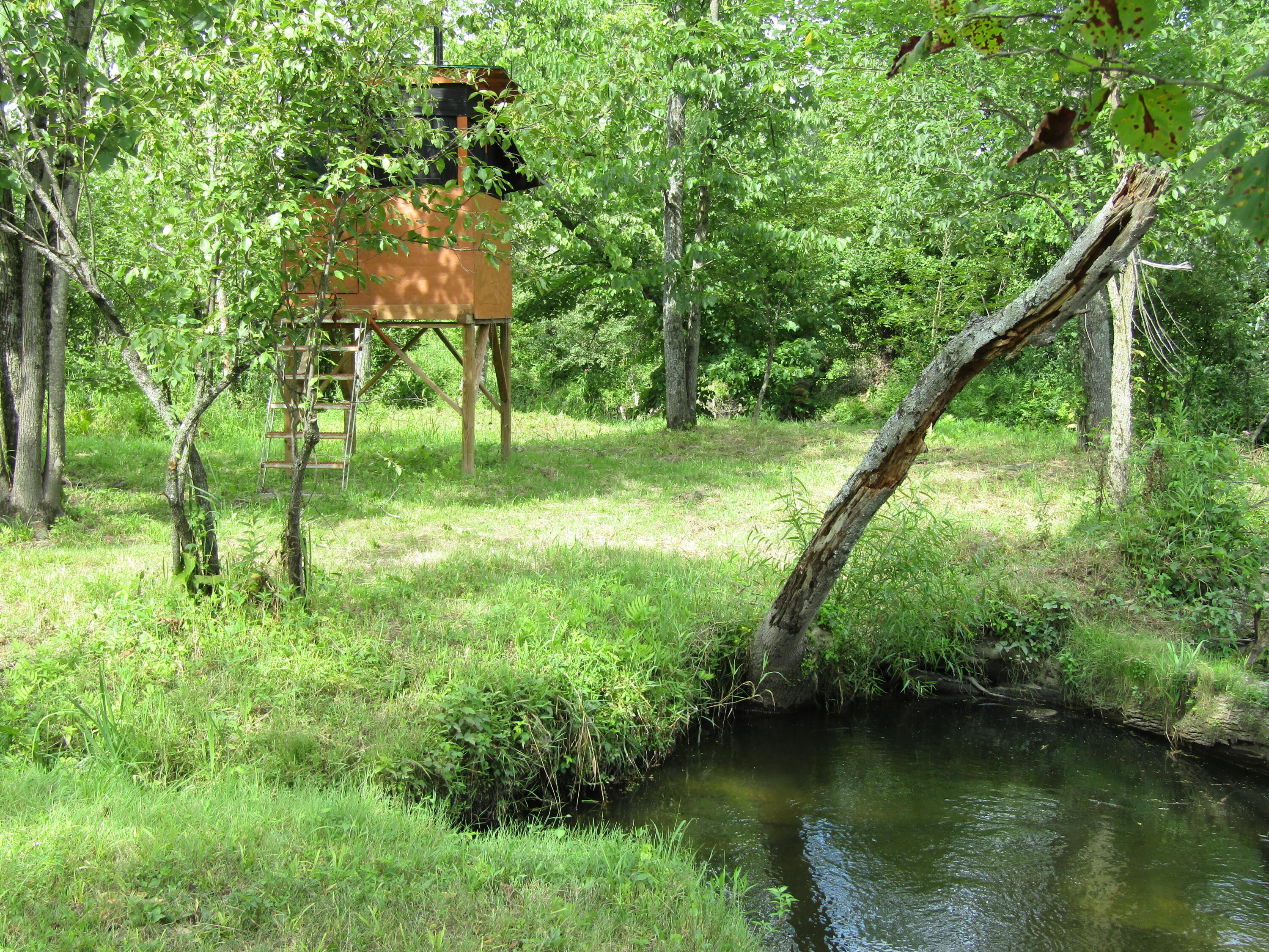 5998 Bartonville Road Belding, MI 48809 - Photo 3 of 28 IMG_7026