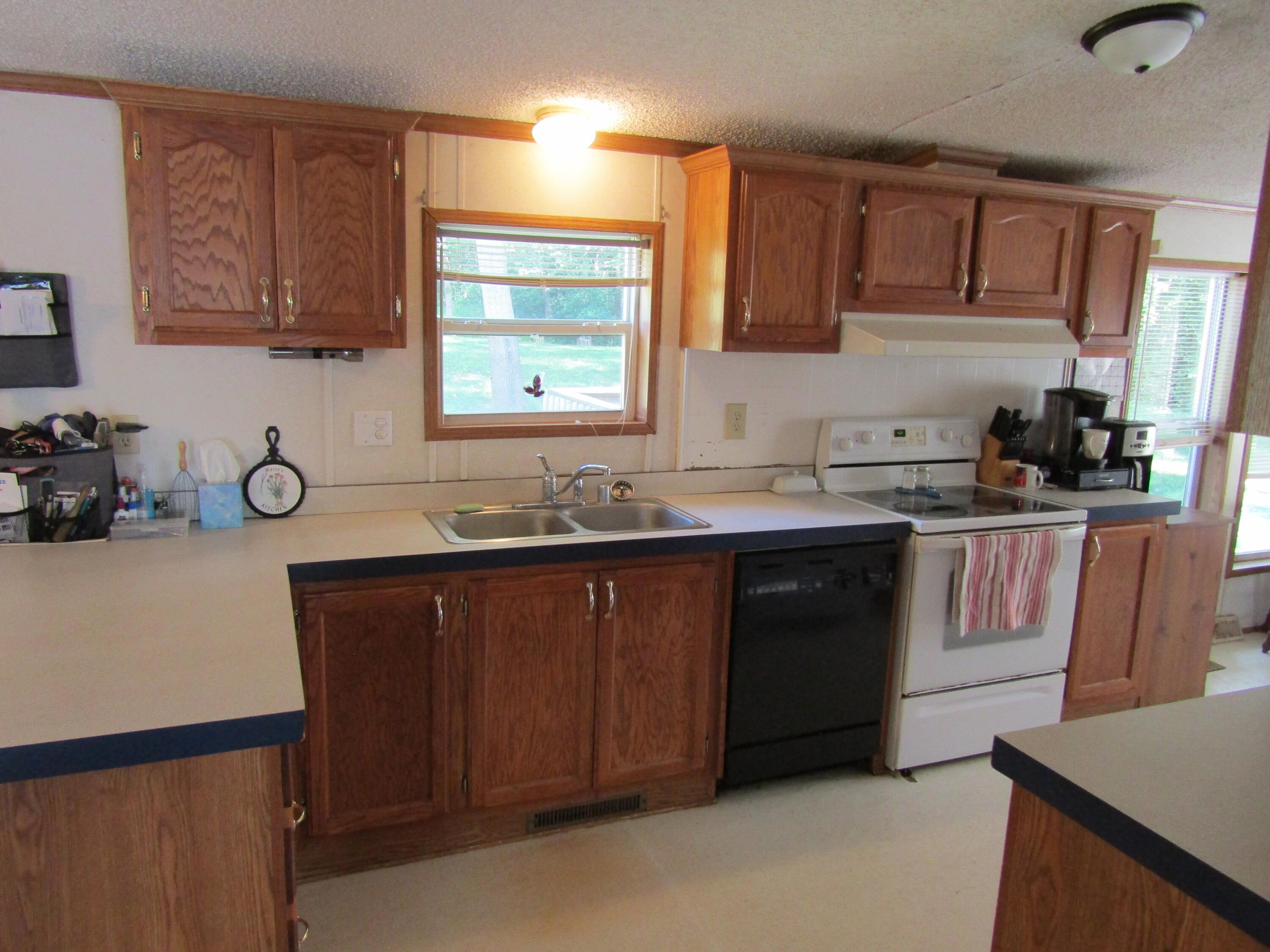 5998 Bartonville Road Belding, MI 48809 - Photo 5 of 28 IMG_6992