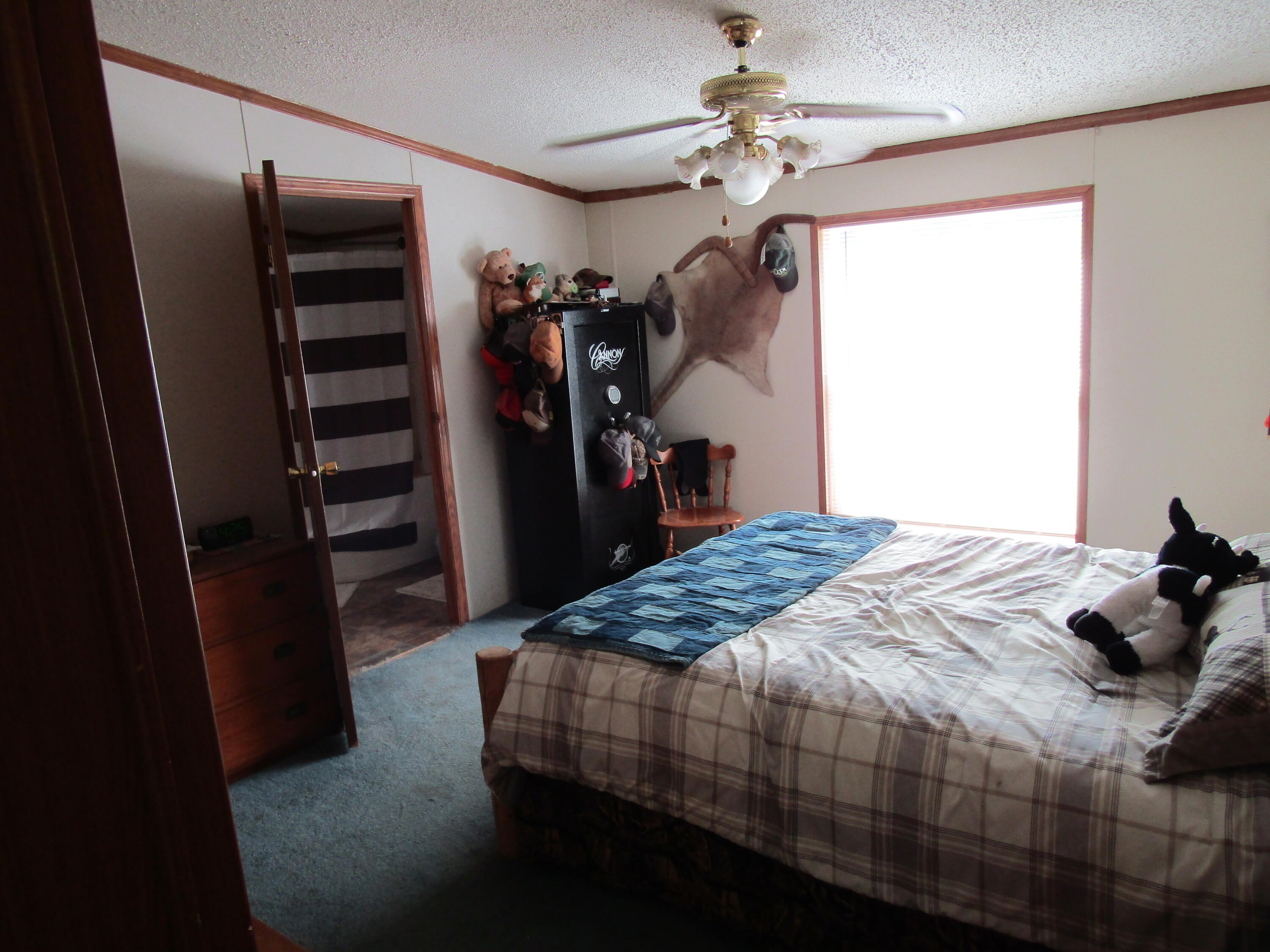 5998 Bartonville Road Belding, MI 48809 - Photo 7 of 28 IMG_6995