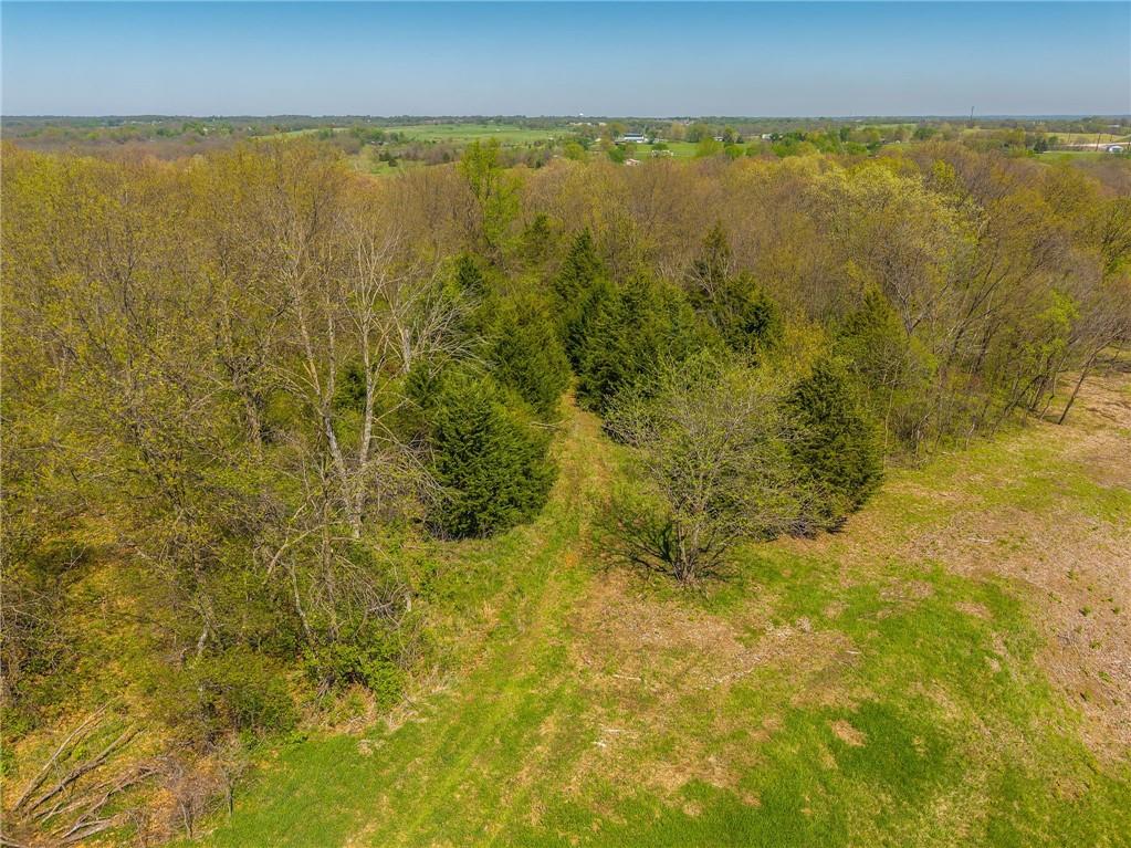 13921 Nation Road Kearney, MO 64060 - Photo 16 of 44