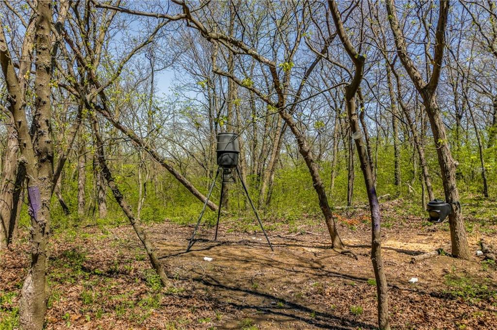 13921 Nation Road Kearney, MO 64060 - Photo 18 of 44