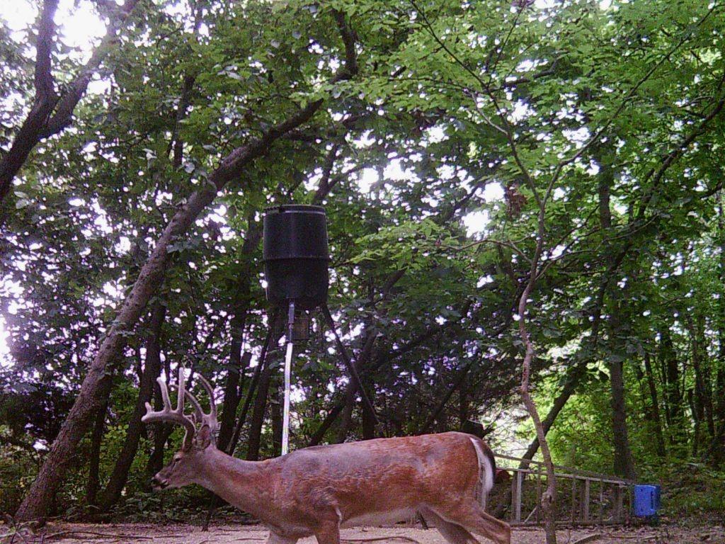 13921 Nation Road Kearney, MO 64060 - Photo 20 of 44