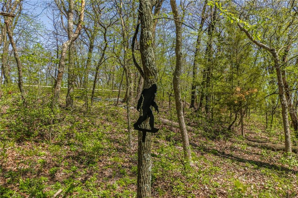 13921 Nation Road Kearney, MO 64060 - Photo 24 of 44