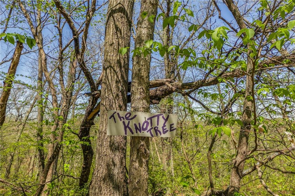 13921 Nation Road Kearney, MO 64060 - Photo 28 of 44