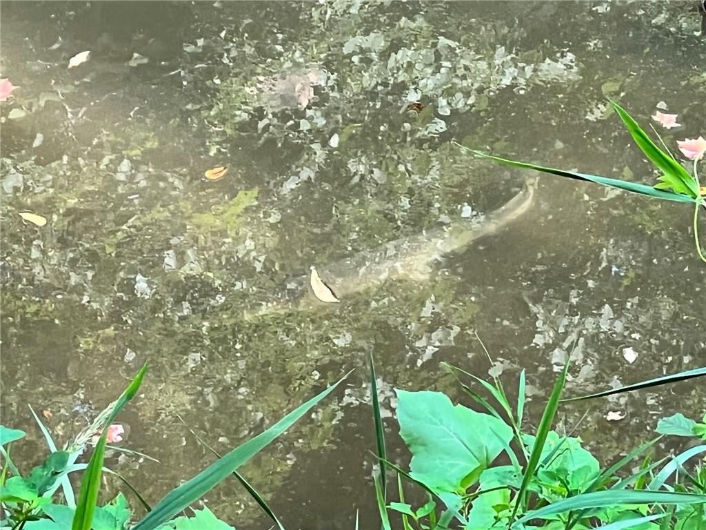 13921 Nation Road Kearney, MO 64060 - Photo 32 of 44