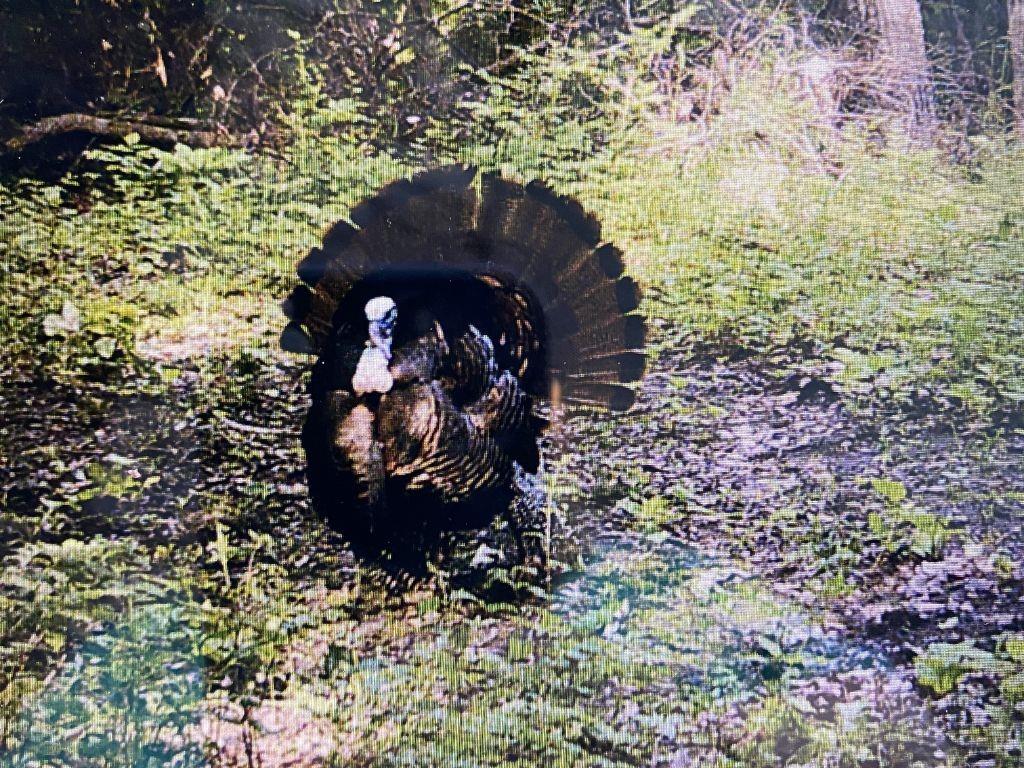 13921 Nation Road Kearney, MO 64060 - Photo 41 of 44