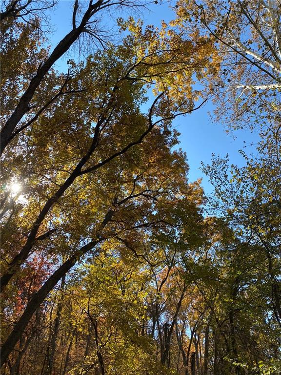 13921 Nation Road Kearney, MO 64060 - Photo 44 of 44