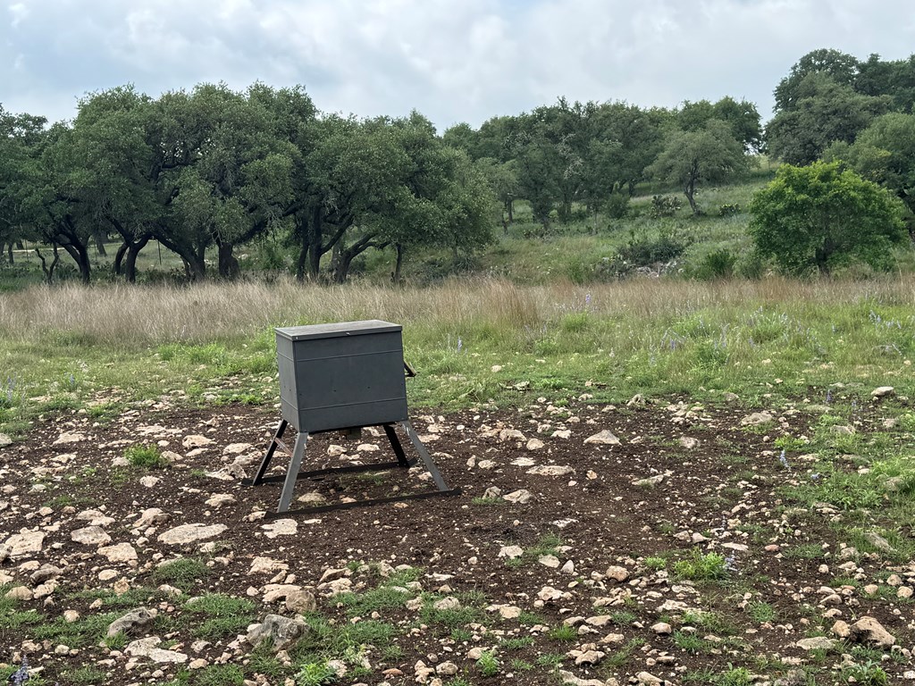 181 Real Lake House Road South Kerrville, TX 78028 - Photo 17 of 18 a view of a garden with a bench in a lake