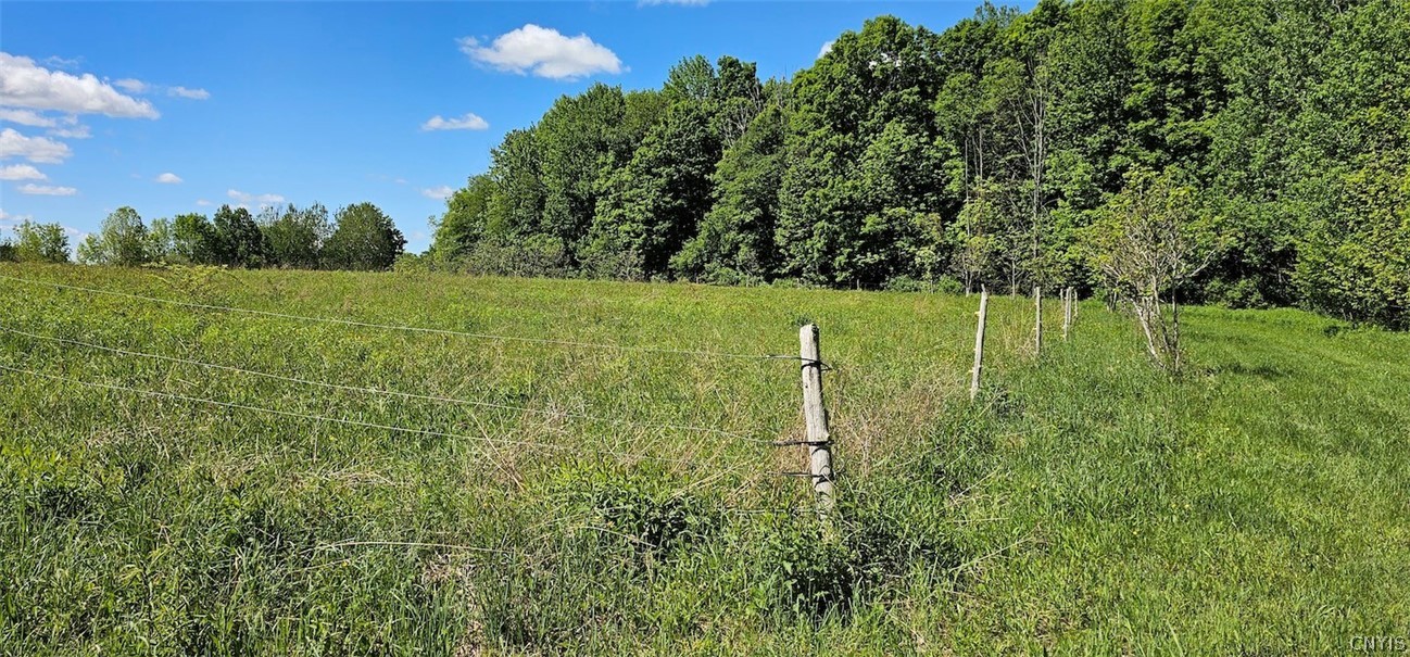 Sprouls Road Cortland, NY 13045 - Photo 17 of 48