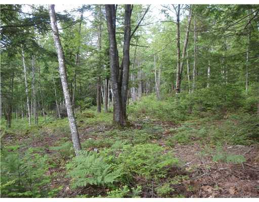 111 Castlewood Road Newcastle, ME 04553 - Photo 1 of 10 Land.