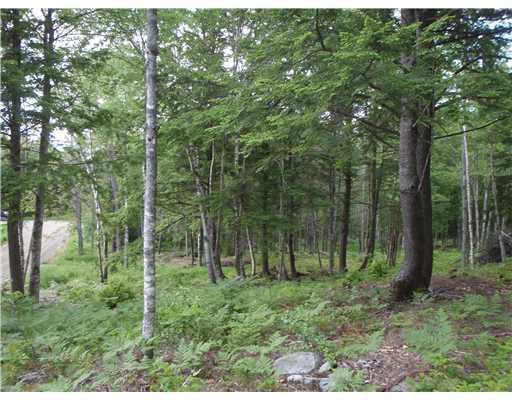 111 Castlewood Road Newcastle, ME 04553 - Photo 2 of 10 Land.