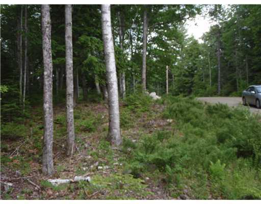 111 Castlewood Road Newcastle, ME 04553 - Photo 3 of 10 Land.