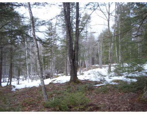 111 Castlewood Road Newcastle, ME 04553 - Photo 4 of 10 Land.