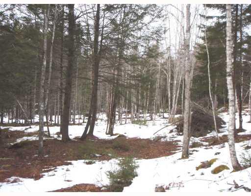 111 Castlewood Road Newcastle, ME 04553 - Photo 7 of 10 Land.
