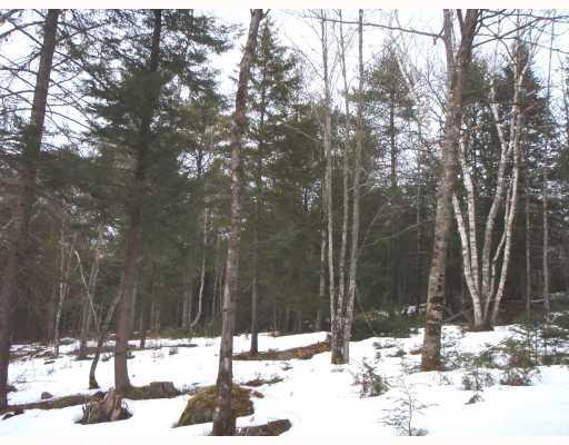 111 Castlewood Road Newcastle, ME 04553 - Photo 8 of 10 Land.