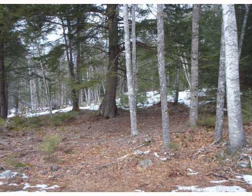 111 Castlewood Road Newcastle, ME 04553 - Photo 9 of 10 Land.