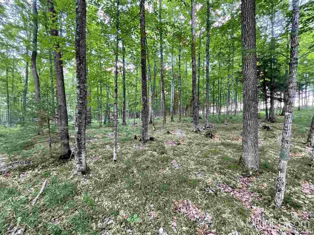 Tbd Sand Road, Unit 2 Powers, MI 49874 - Photo 33 of 38