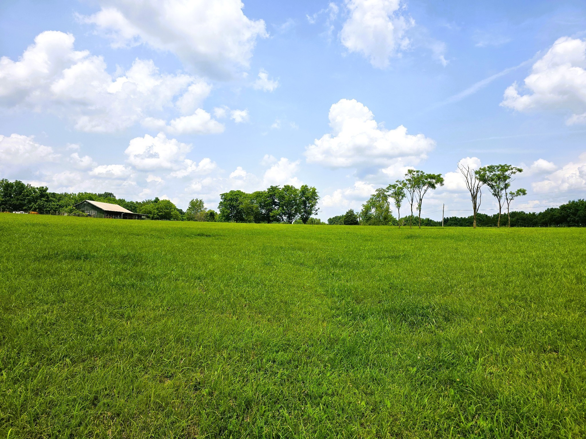 7373 New Chapel Road Springfield, TN 37172 - Photo 6 of 12 Gallery Image 6