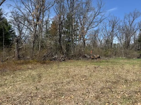 $14,000 | Vl South James Road, Baldwin, MI 49304