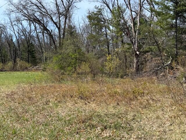 Vl South James Road Baldwin, MI 49304 - Photo 2 of 11 IMG_5876