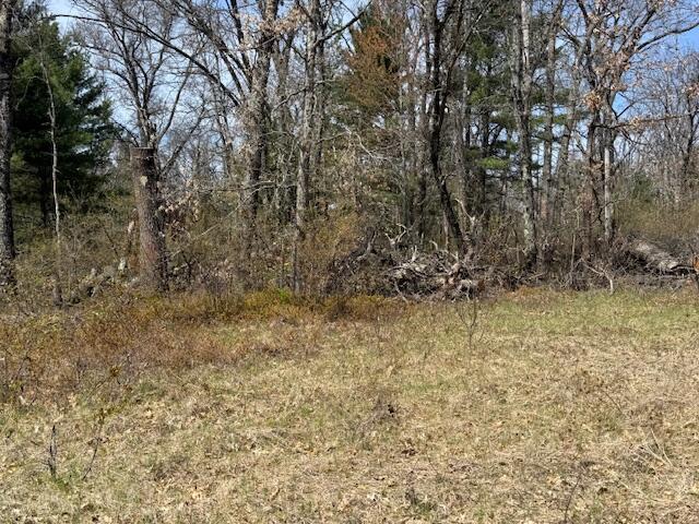 Vl South James Road Baldwin, MI 49304 - Photo 3 of 11 IMG_5877