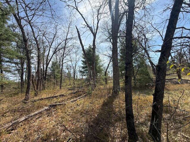 Vl South James Road Baldwin, MI 49304 - Photo 5 of 11 IMG_5879