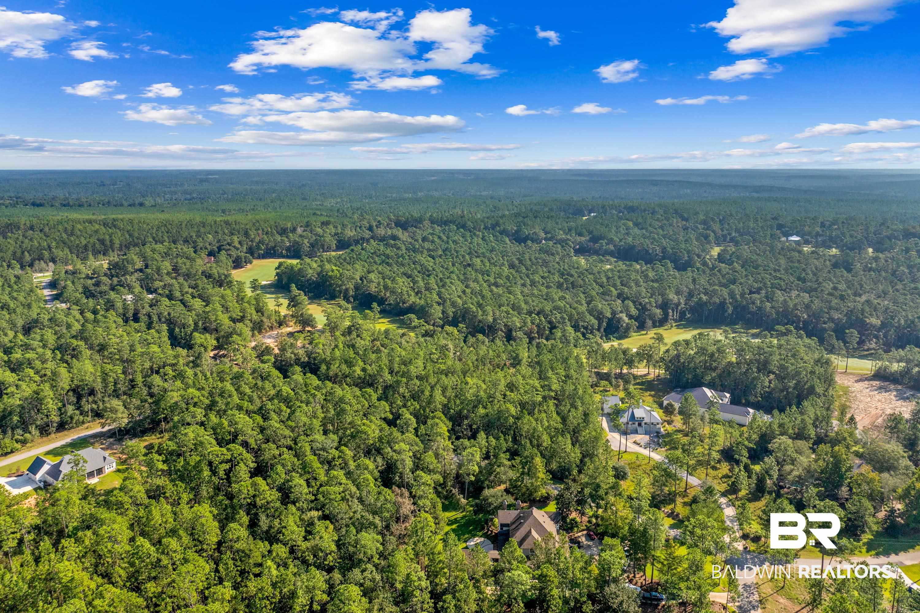 Lot 16 Steelwood Ridge Road Loxley, AL 36551 - Photo 19 of 19