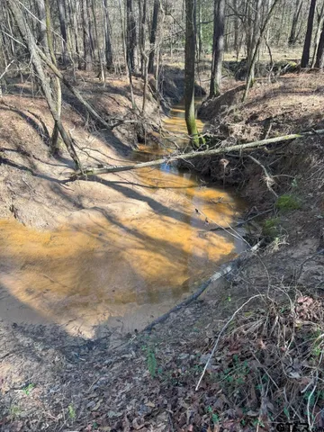 a view of a yard with street
