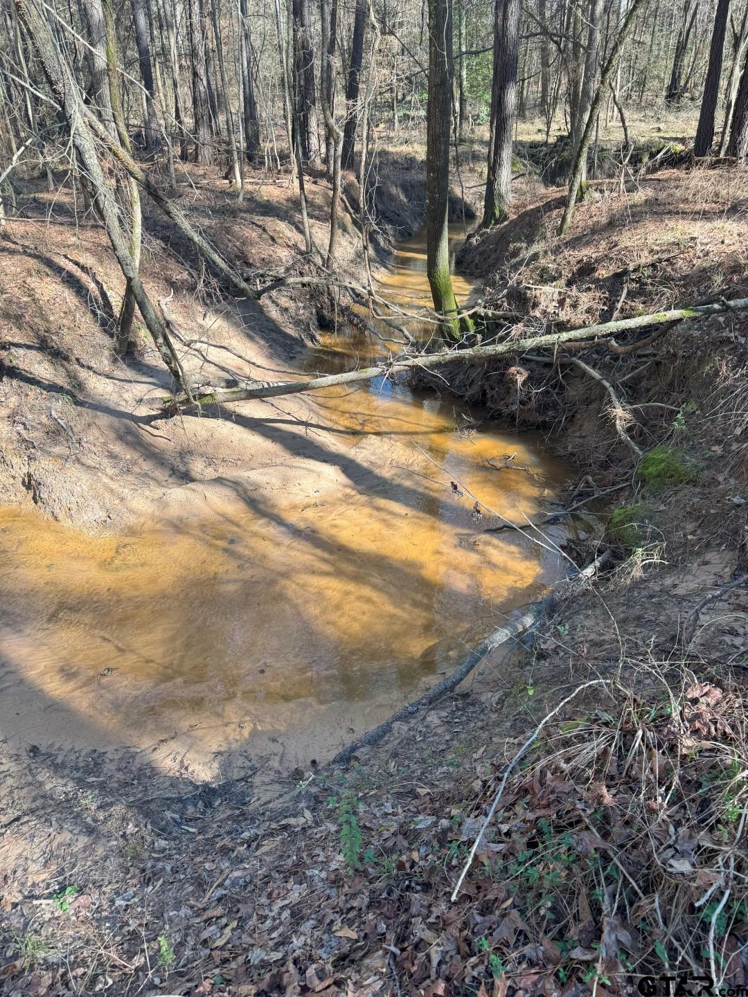 Tbd Billy Ray Road Marshall, TX 75672 - Photo 2 of 11 a view of a yard with street