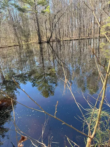 an aerial view of a yard