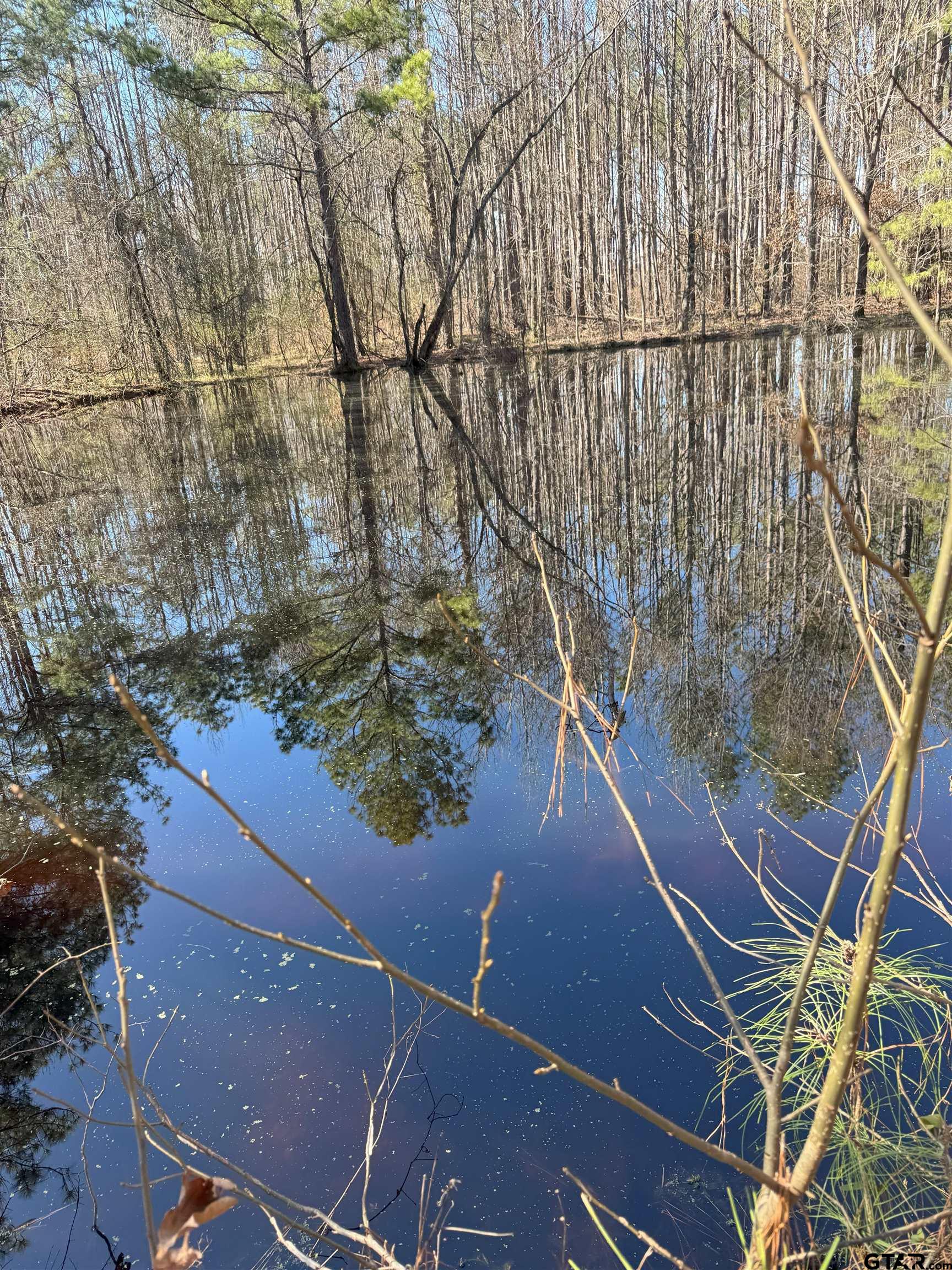 Tbd Billy Ray Road Marshall, TX 75672 - Photo 4 of 11 an aerial view of a yard