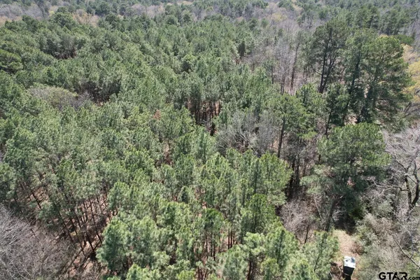 an aerial view of residential house with outdoor space and trees all around