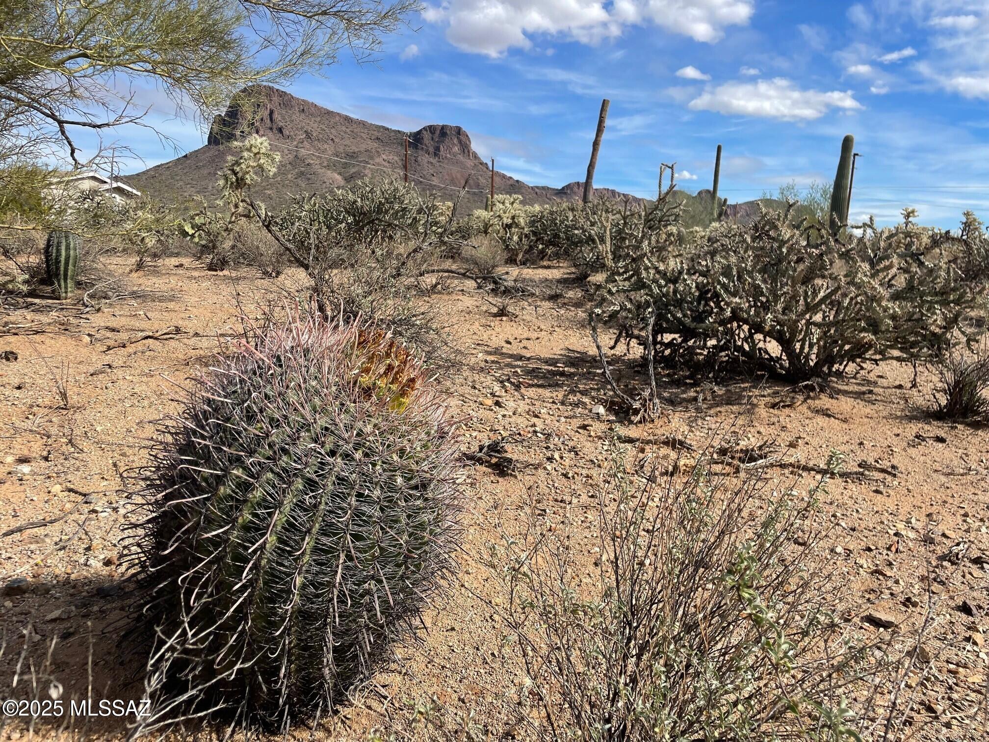 Tbd North Tbd N Van Ark Road Tucson, AZ 85743 - Photo 5 of 14