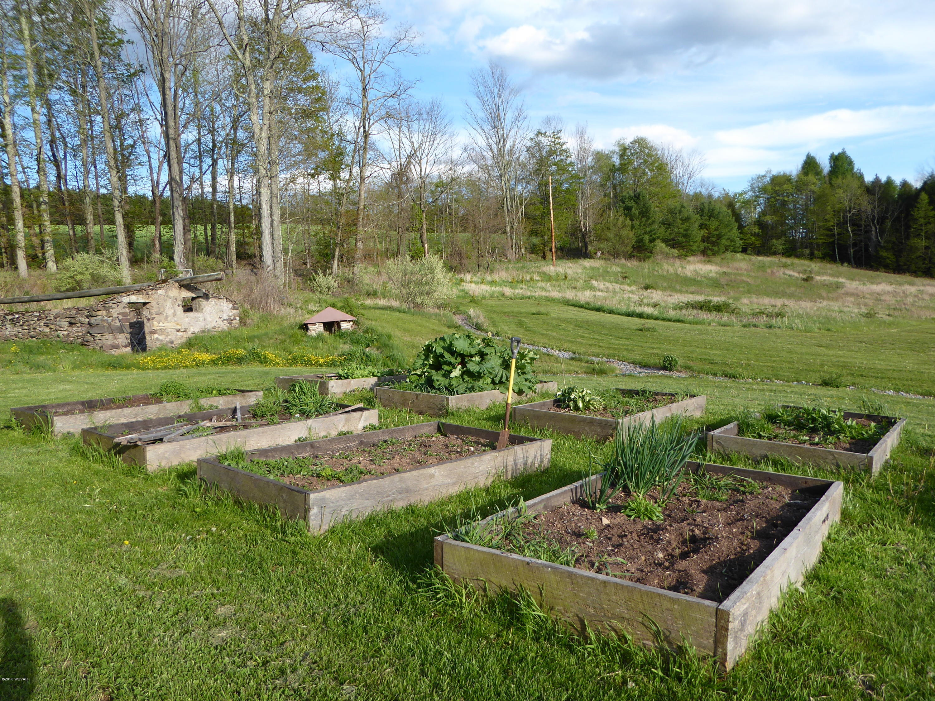 2351 Calvert Road Trout Run, PA 17771 - Photo 15 of 112 Raised bed gardens