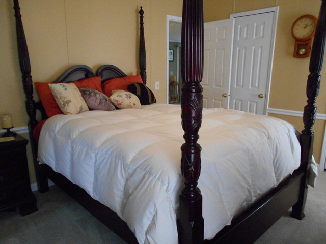 406 Robersonville Road Washington, NC 27889 - Photo 10 of 25 Additional Photo