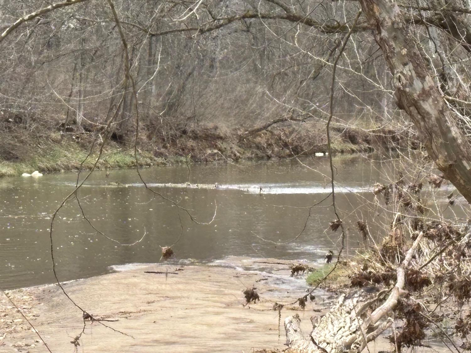 6033 Siemon Road Brookville, IN 47012 - Photo 13 of 39