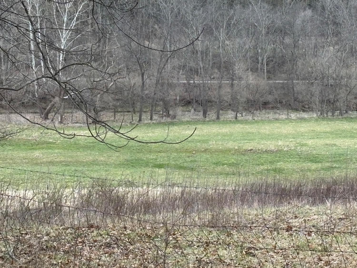 6033 Siemon Road Brookville, IN 47012 - Photo 21 of 39