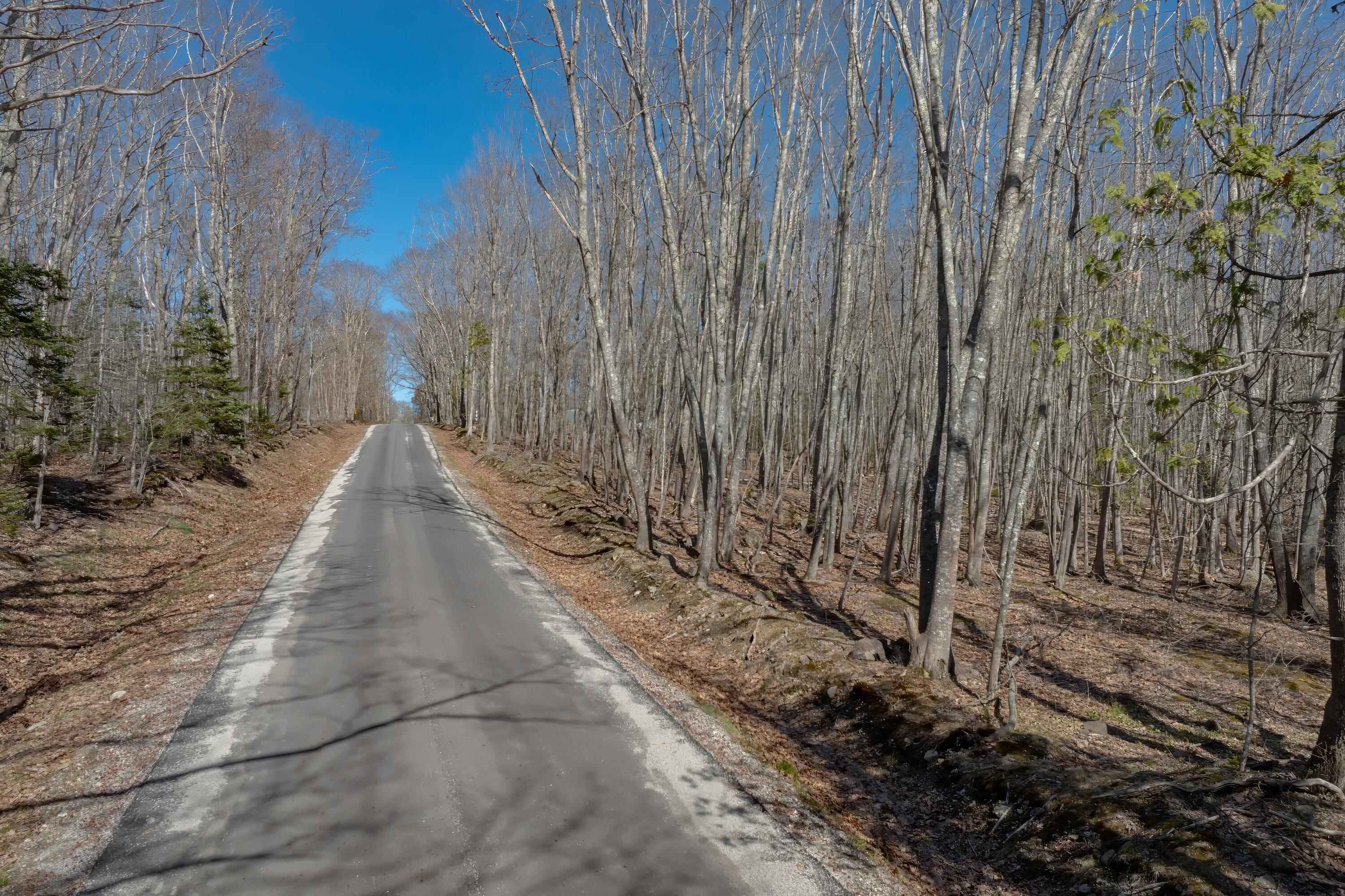 0 Kingdom Road Blue Hill, ME 04614 - Photo 14 of 14 20-Kingdom Road Land-DTP