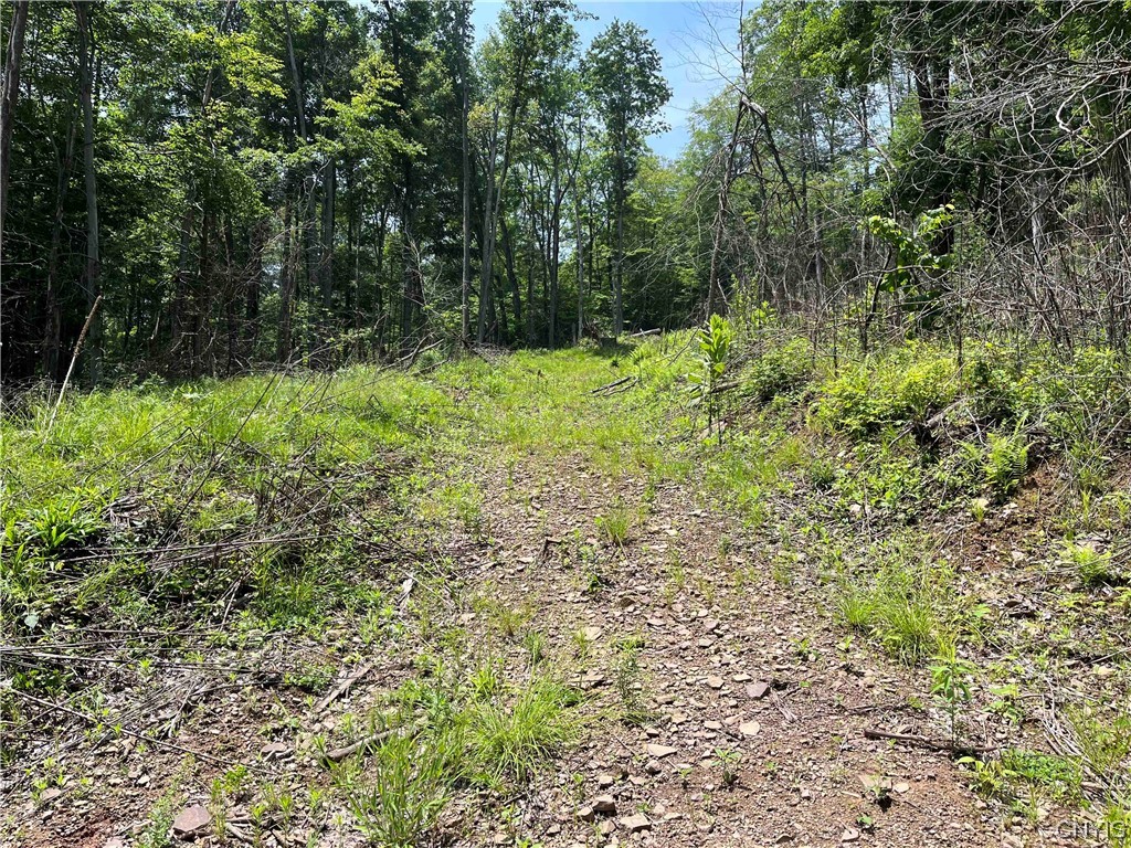 0 Gleason Hollow Road Belfast, NY 14711 - Photo 10 of 27 Gallery Image 10