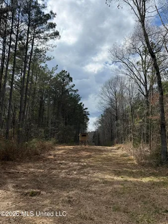 $299,000 | Cutts Road, Ackerman, MS 39735