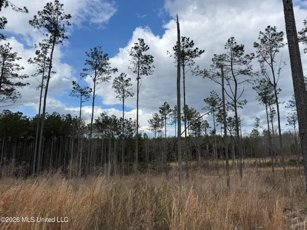 $299,000 | Cutts Road, Ackerman, MS 39735