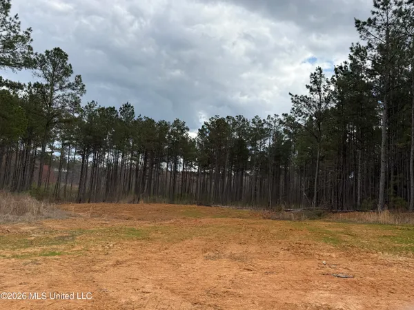 $299,000 | Cutts Road, Ackerman, MS 39735