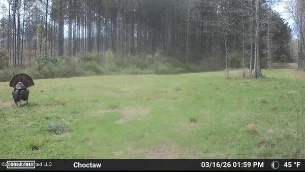 $299,000 | Cutts Road, Ackerman, MS 39735