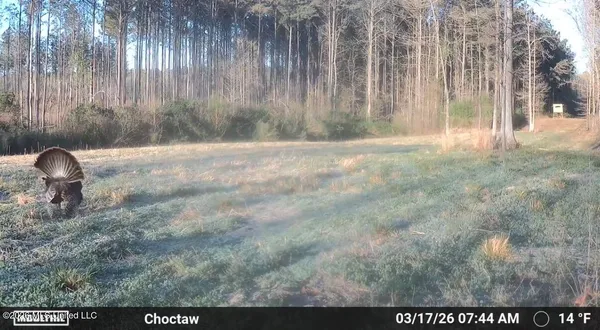 $299,000 | Cutts Road, Ackerman, MS 39735